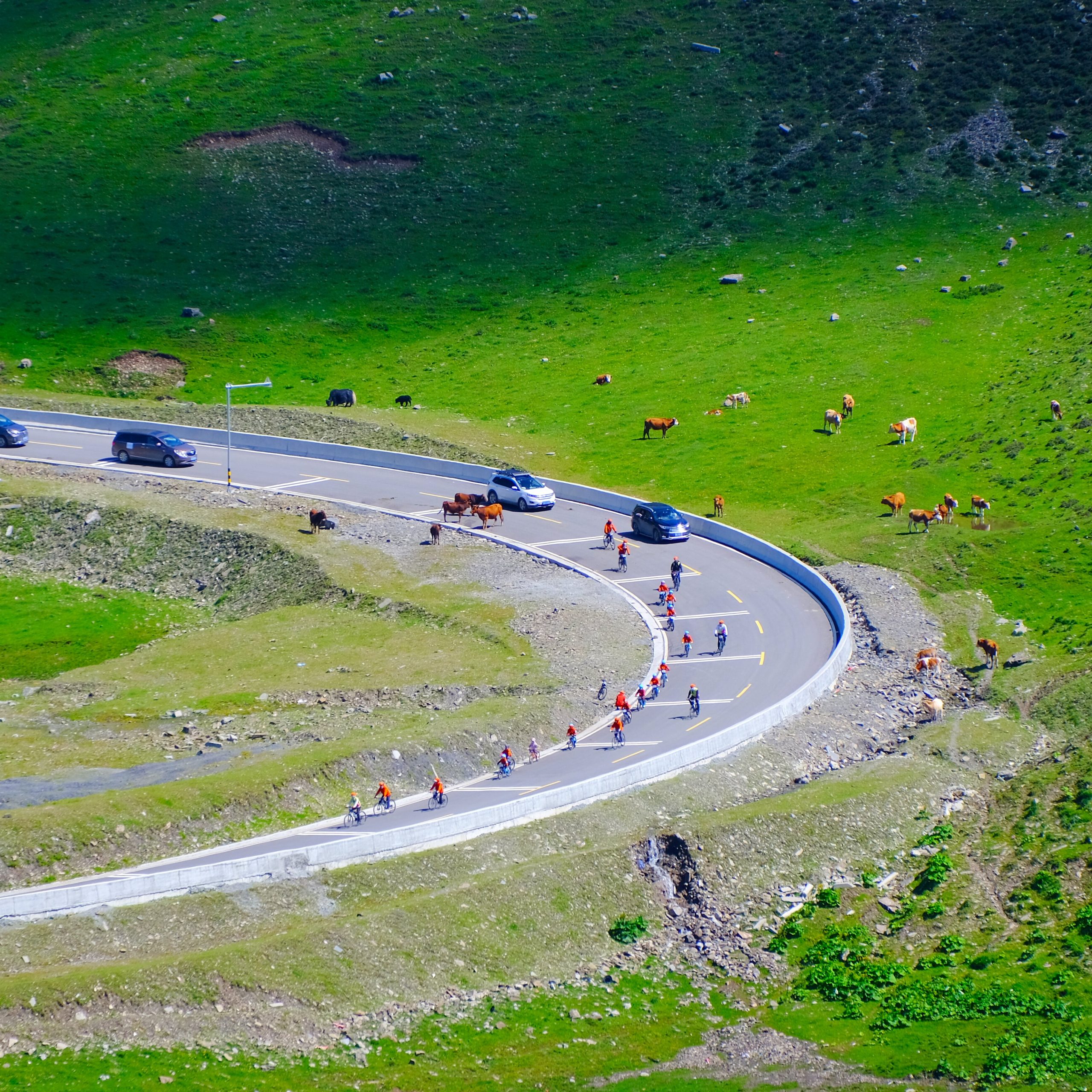 Cycle in China-China Cycling Guide! Enjoy Your Cycle in Your Way