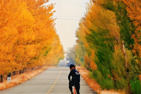 Golden Autumn Cycling from Hulunbuir Grassland to Mohe: China’s North Pole
