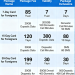 China Telecom Short-Term Package for Foreign Nationals