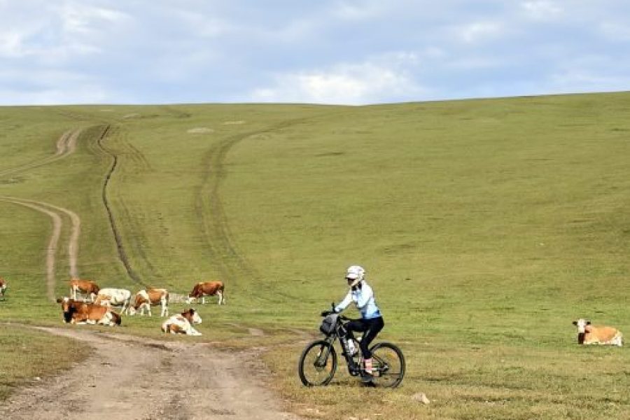 Hulunbuir Inner Mongolia Grasslands Cycling Loop with your own bike