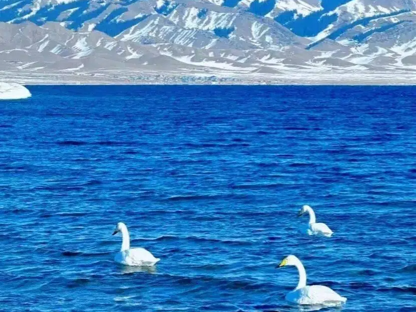 Day 1 : Assemble in Bole (Bortala)