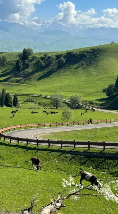 Day 5 :Jiadenyu - Hemu    Cycling Distance: 60 kilometers