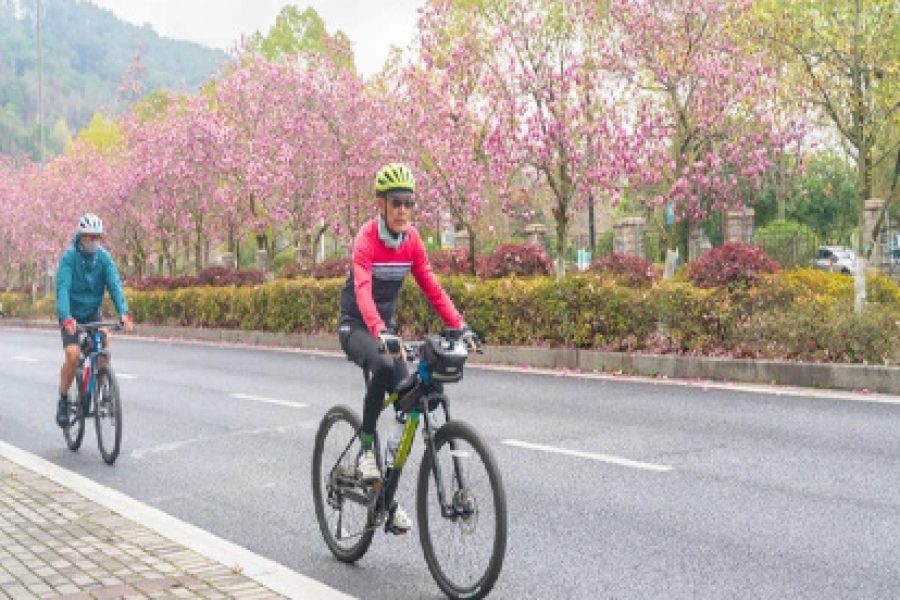 6-Day Hangzhou & Thousand Island Lake Greenway Cycling Tour