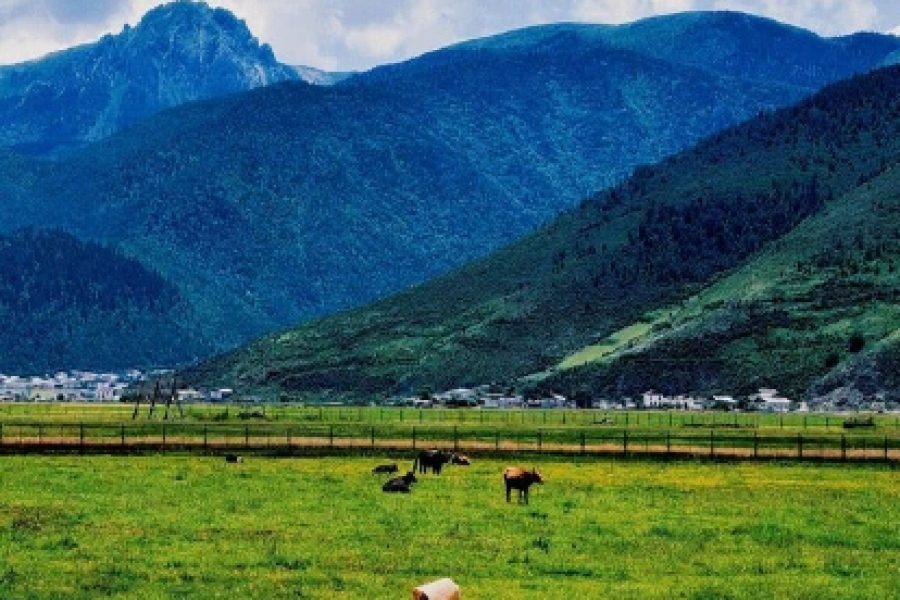 New ! 5-Day 4-Night Cycling Tour in Shangri-La