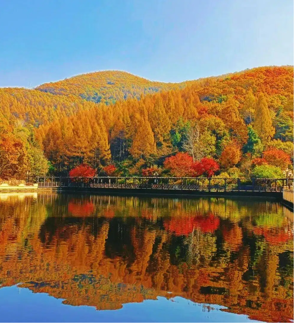 Day 7: Departure from Dandong