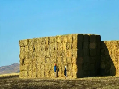 Day 3: Heishantou to Shiwei – 100 km cycling