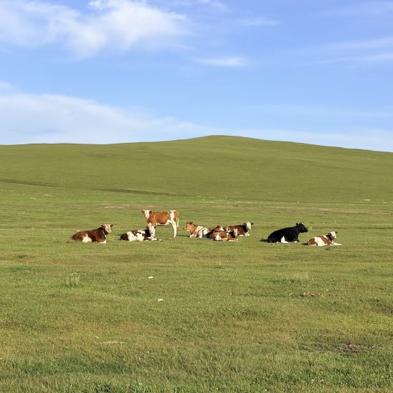 Inner Mongolia